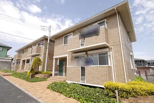 メルシーモアBの画像