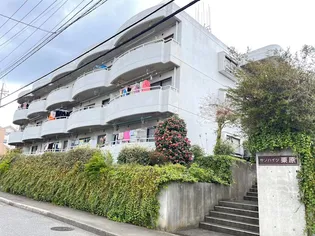 サンハイツ栗原の画像