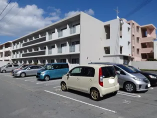 レオネクストアウルの画像