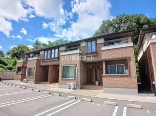 カメリアV Aの画像