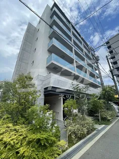 リアンカーサ長柄の画像