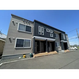 ディアコートM Yの画像