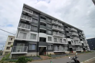 カーム北柏【4階】の外観