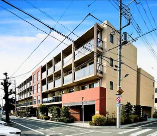 セジョリ鵜の木の画像