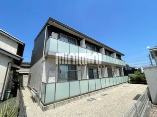 カトレヤの画像