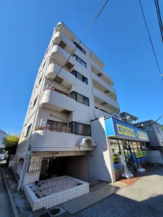 ソシア ドエルの画像