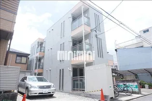 アムール青柳の画像