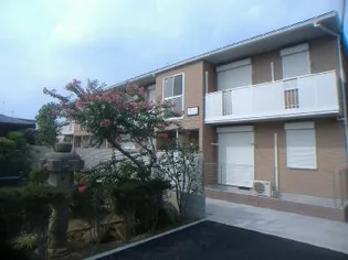 SHAMAISON バーンスックの画像