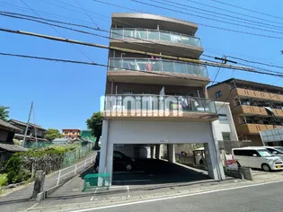 アドミール前後の画像