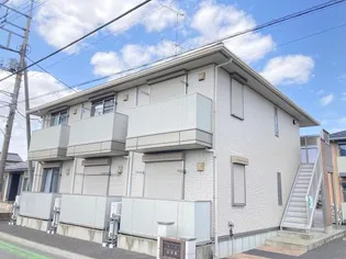 サーラの画像