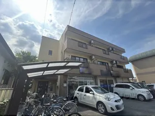 ら ほうれんの画像