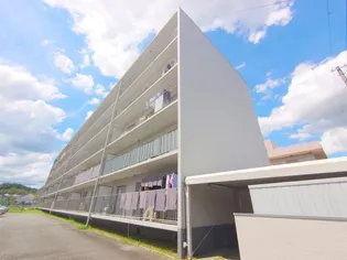 清和台センターハイツN棟の画像