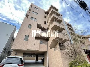 アルカディアⅧの画像