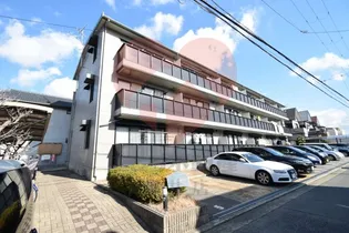 エストゥディオの画像