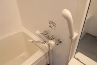 OWLSTYLE NISHIKIMACHI II【11階】の風呂