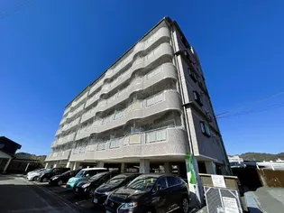 DRハウスIIの画像