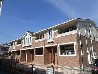 ルヴェ デュ ソレイユの画像