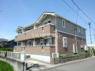 フェスティバルの画像