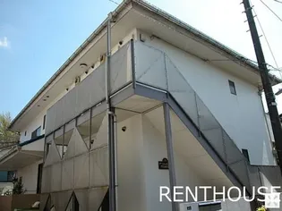 プリムローズの画像