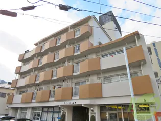 ドミール石川【1階】の外観