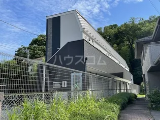 FELICE SAKURAの画像