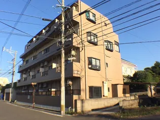 鹿児島県鹿児島市紫原1【マンション】の外観