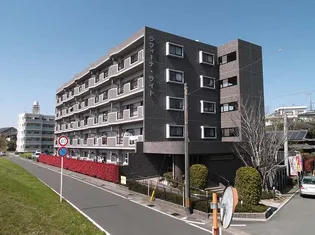 ラフィーナ サイトの画像