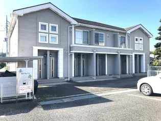 ネオ グレイスの画像