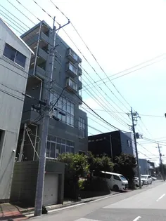 オリーブの画像