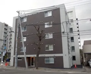 RAFFINE N20WESTの画像