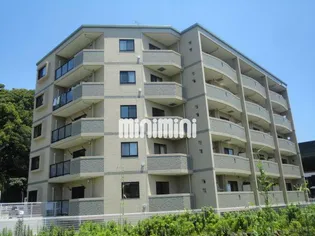 ヴィブレフリージアの画像