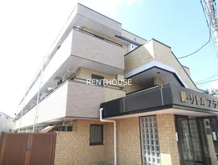 リトルブラウンの画像