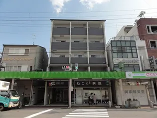 北野エスポワコリンの画像