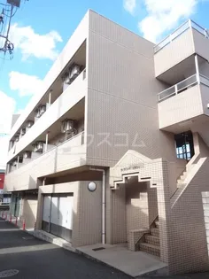 セイクリッド トゥリーの画像