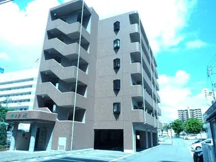 A大樹の画像
