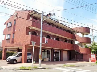 ルミウス喜多川Ⅱの画像