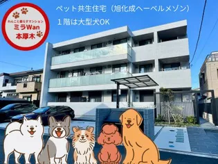 ミラ WAN本厚木の画像