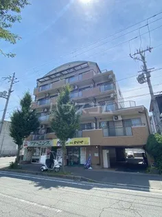 L PATIOの画像