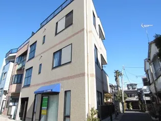 サニーサカキの画像