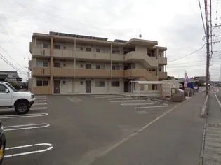 Tースクエアの画像