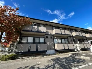 コート花水木の画像