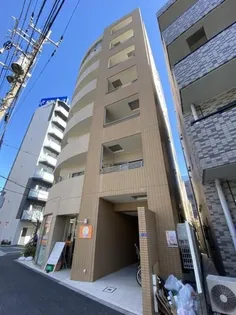 セトルオクサワの画像