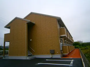 エラーラの画像