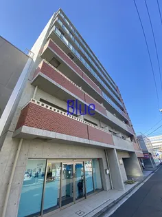 アマリス中原の画像