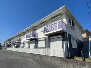 シェポルMの画像
