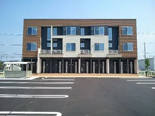 オレガノの画像