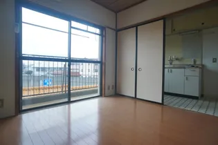 メゾン城南【3階】の居間