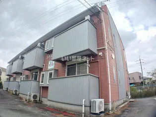 ドマーニの画像