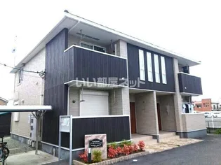 サウス アンシェントの画像