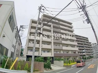 エクセルソフィアの画像